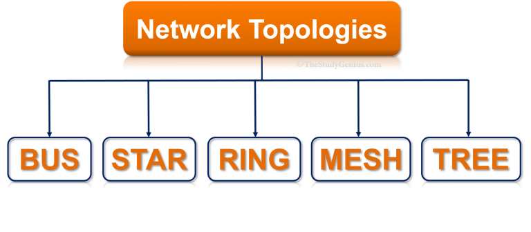 What is network topology? types of network topology - The Study Genius
